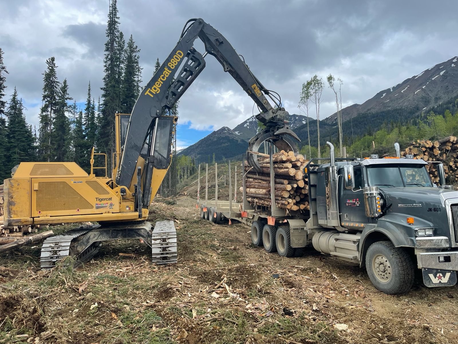 Excavation & Earthmoving