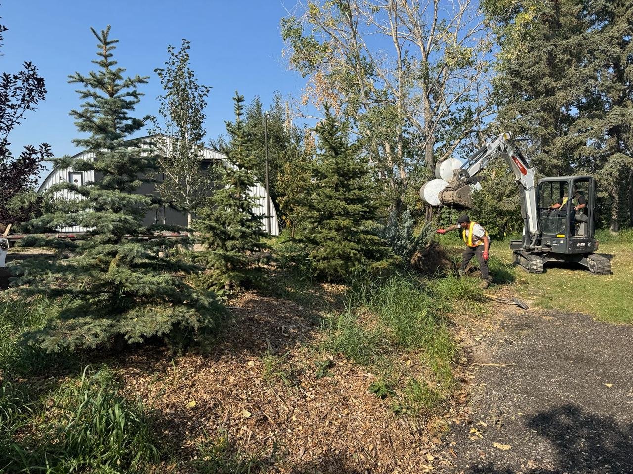 bush clearing